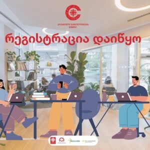 გრაფიკული დიზაინი/UI/UX, პროგრამული უზრუნველყოფის ტესტირება, თამაშების პროგრამირება
